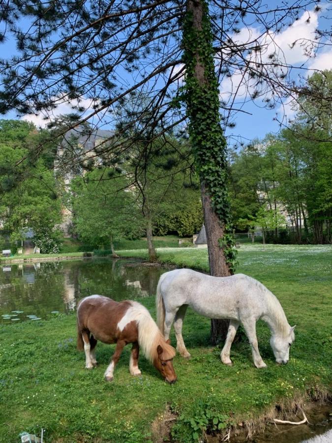 Gite Familial Chateau La Roche Racan Saint-Paterne-Racan المظهر الخارجي الصورة